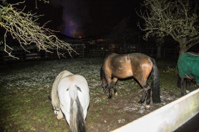 Winnenden-Hertmannsweiler: Strohlager in Reithalle stand in Vollbrand - Pferde gerettet - Feuerwehr verhindert schlimmeres